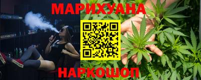 сатива Будённовск