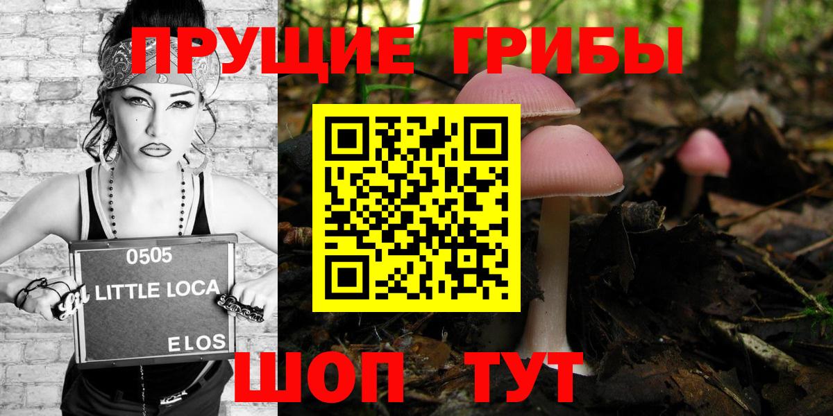 Галлюциногенные грибы GOLDEN TEACHER  Вход с VPN  Санкт-Петербург  Галлюциногенные грибы мицелий 