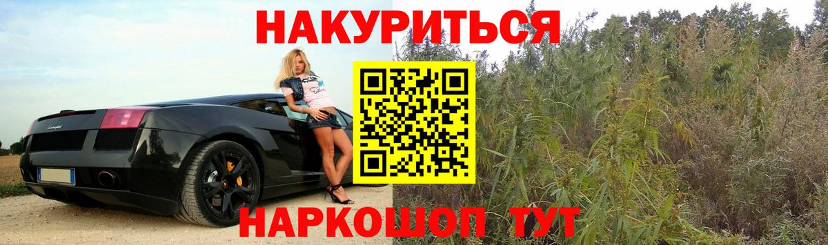 МАРИХУАНА тримм  Вход с VPN  Санкт-Петербург  Бошки Шишки гибрид 